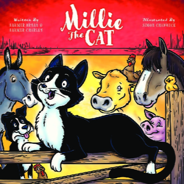 Millie the Cat | Longdown Activity Farm