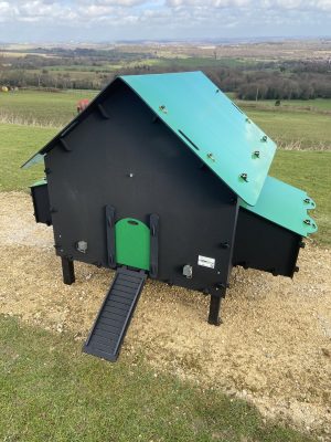 Sustainable Housing for Your Chickens