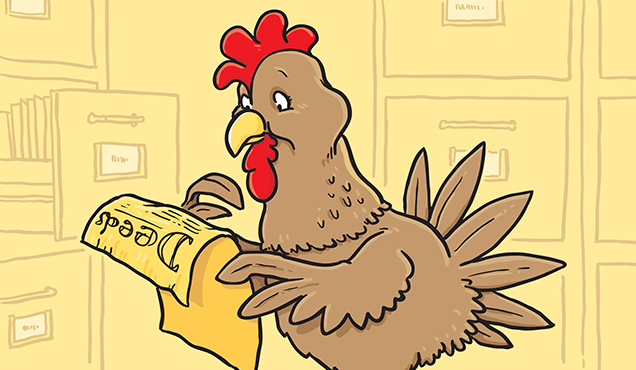 Chicken Reading Nonchalantly